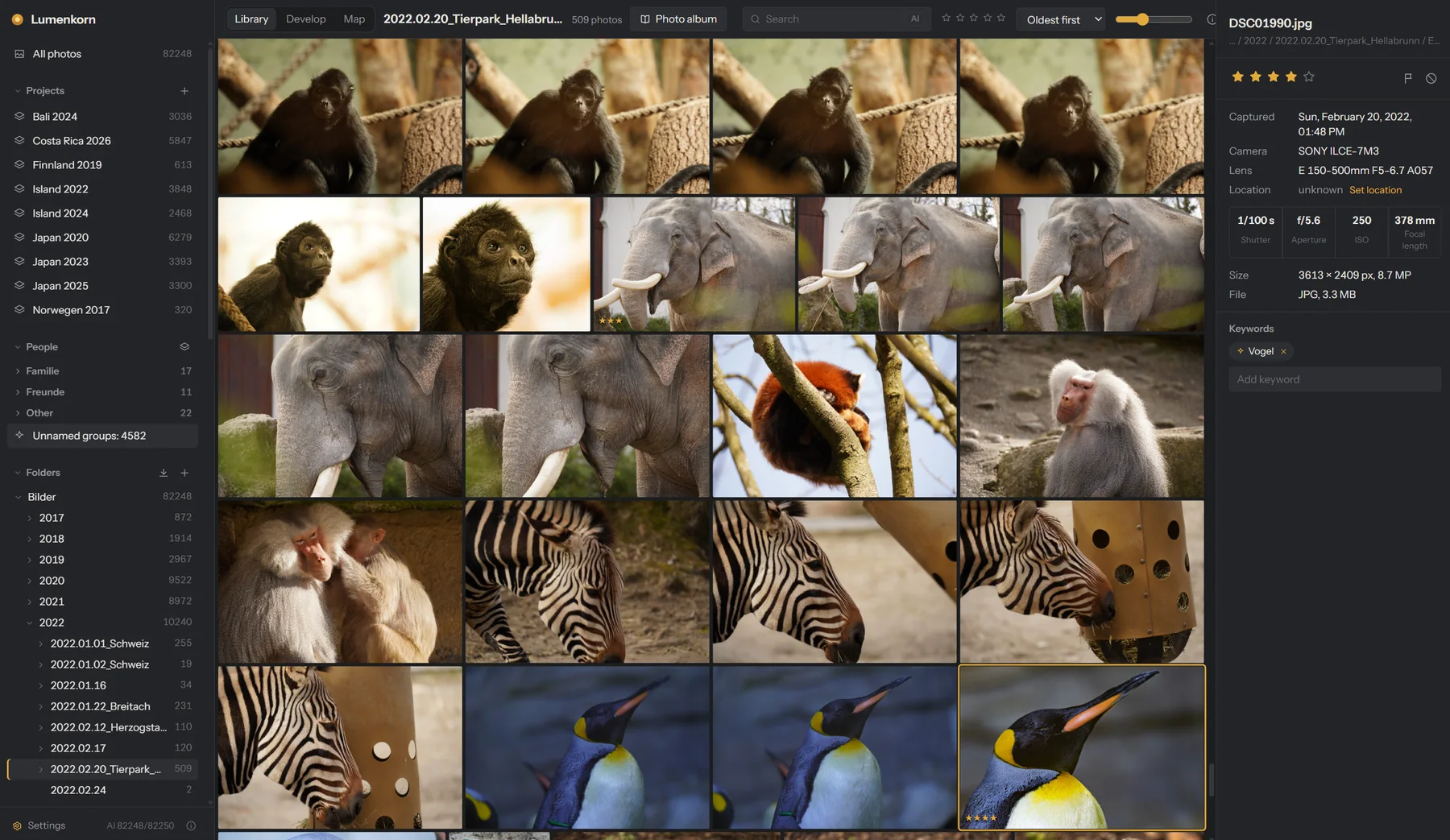 Bibliothek mit Tierfotos aus einem Zoo, ausgewählt ist ein Pinguin, rechts seine Aufnahmedaten